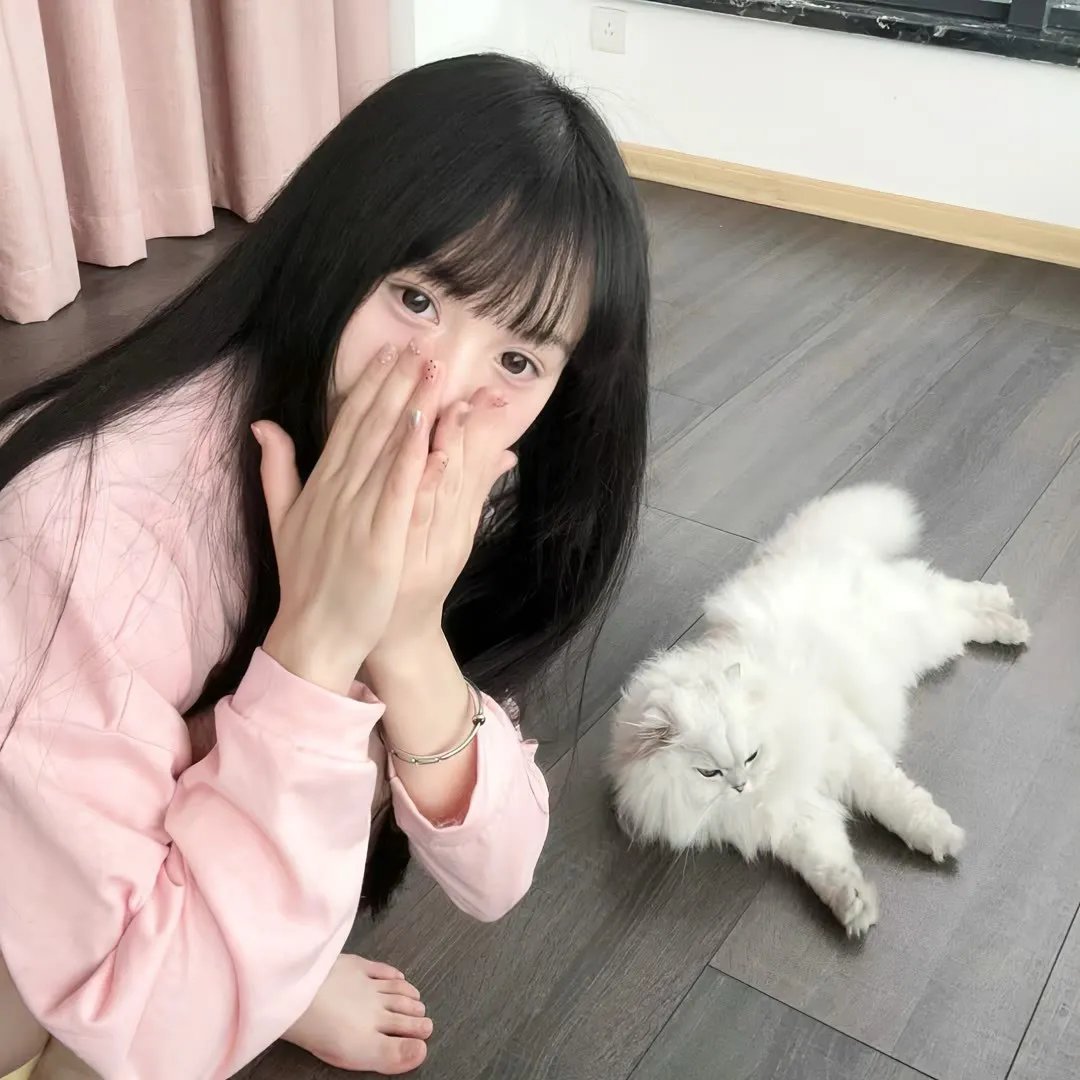 茅趸王