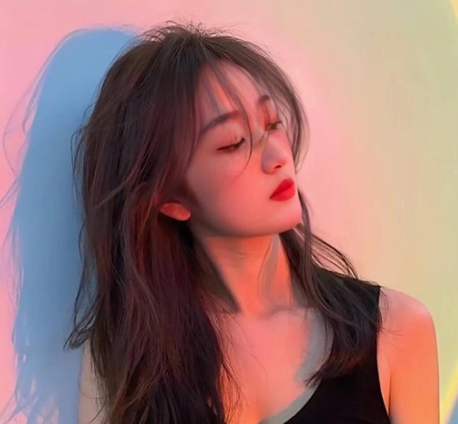 名门淑女